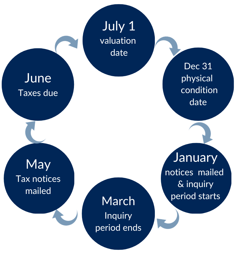assessment process timeline