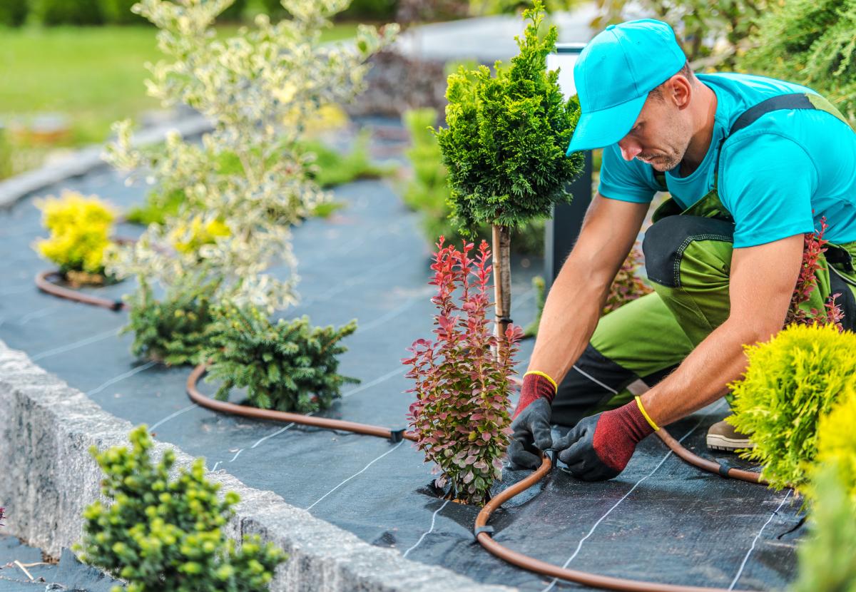 Man xeriscaping green space of a business yard