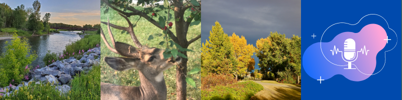 images of natural areas in Okotoks