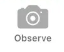 iNaturalist observe