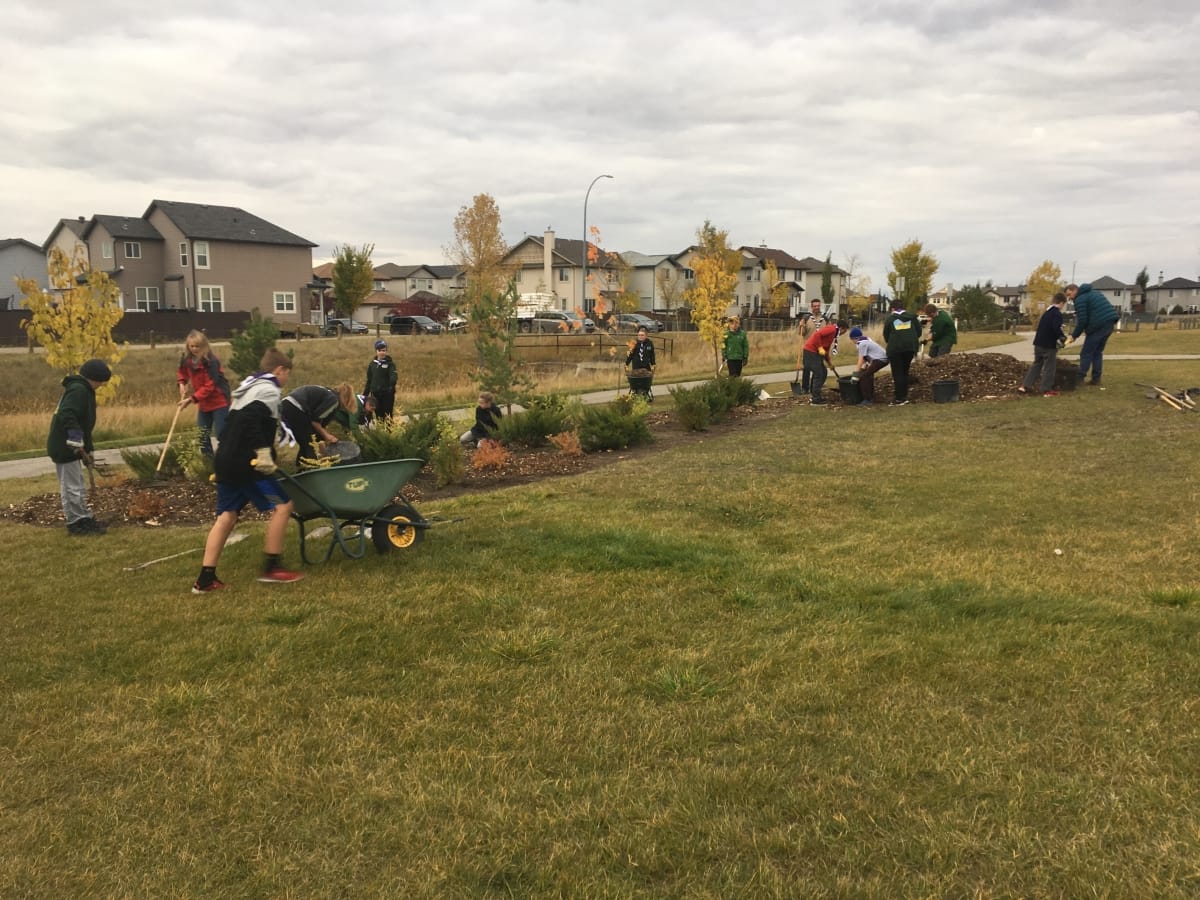 Kadey Park Citizen Grove planted (Cimarron Grove Close) by the 1st Okotoks Scouts.