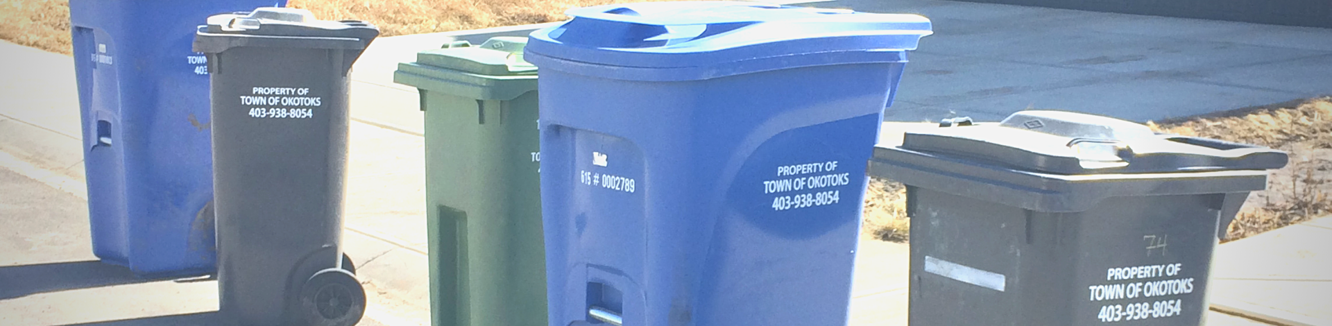 image of Okotoks waste services carts in a neighbourhood