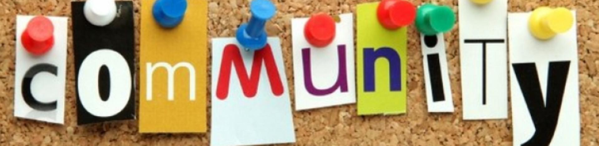 2018 Community Household Survey