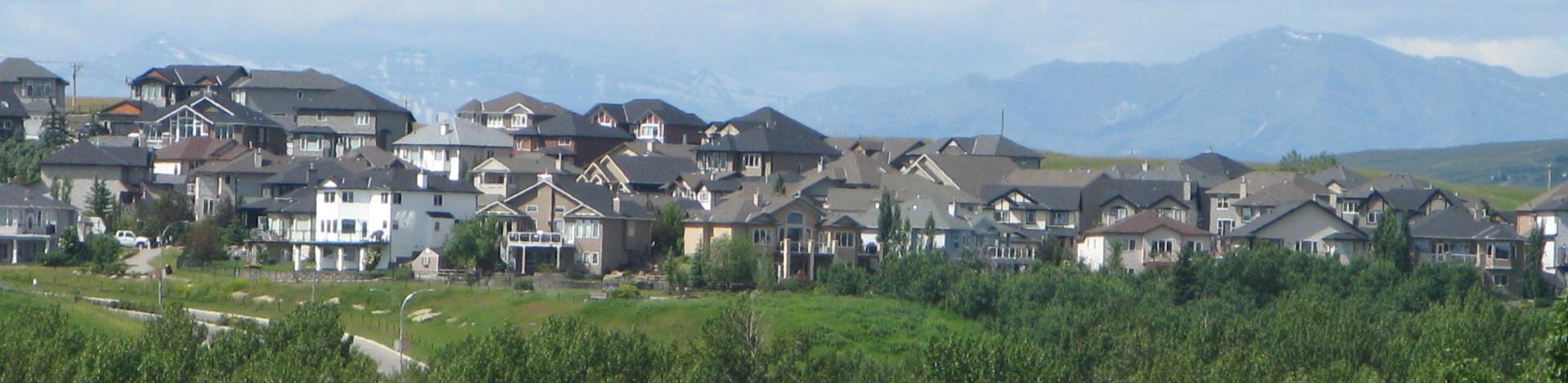 Supplementary Assessment