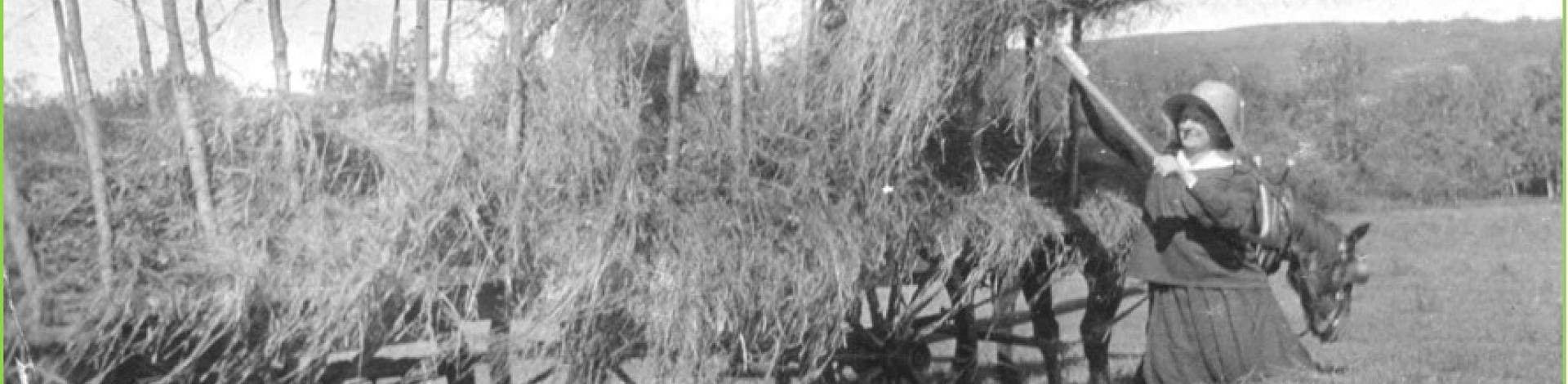 In The Community: Public Programs and Lectures