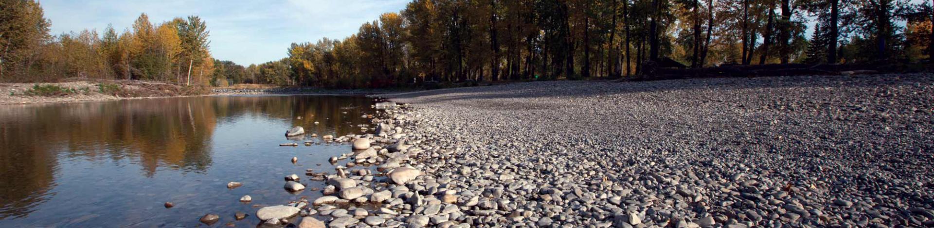 Vision & Mission Statement