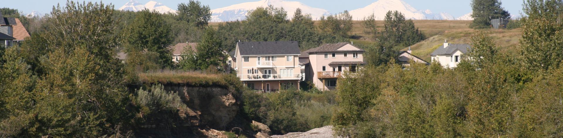 Reviewing Your Assessment