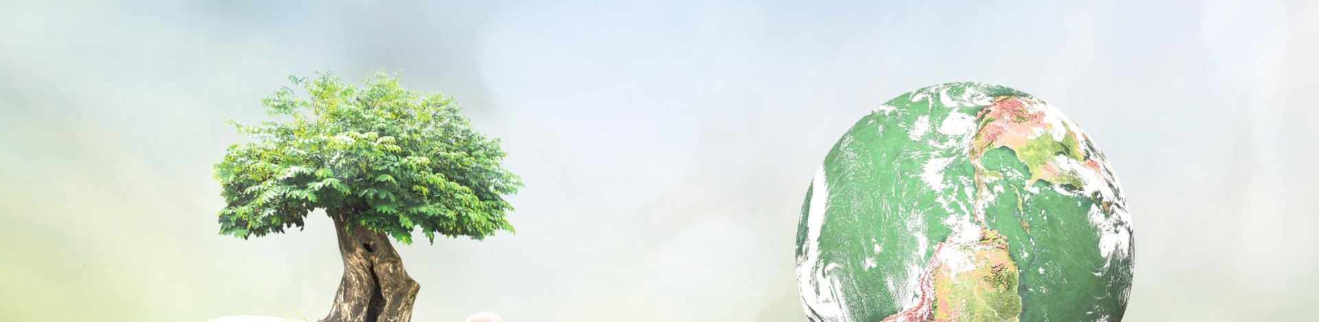 Multi Family Waste Diversion