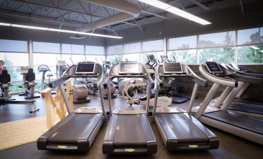 Row of treadmills and other cardio equipment in a gym