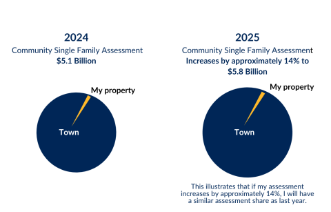 Pie charts showing comparison of tax portion based on assessment vaklue