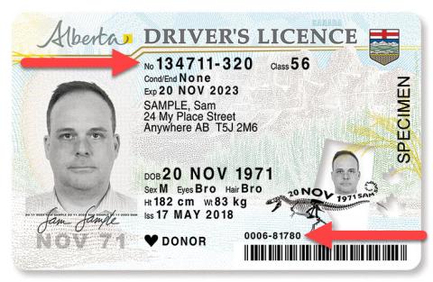 Alberta Government Drivers Licence example
