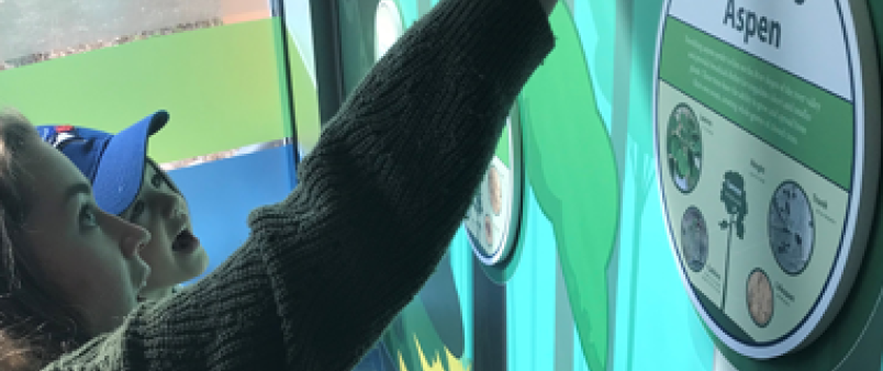 Excited child exploring Tree wall at environmental education centre