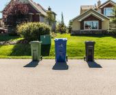 Garbage, organics and recycling bins lined up for collection at curb