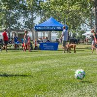 a youth kicks a ball in a feild