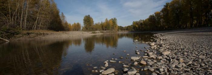 Sheep River in Okotoks